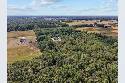 4906 NW 36th Street, Bell, FL 32619 - Photo 15