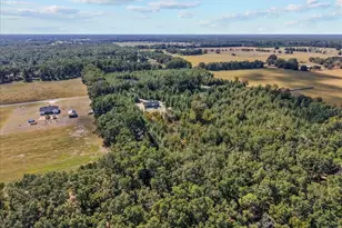 4906 NW 36th St, Bell, FL 32619 - Photo 15