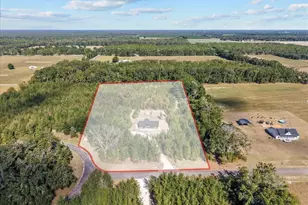 4906 NW 36th St, Bell, FL 32619 - Photo 9