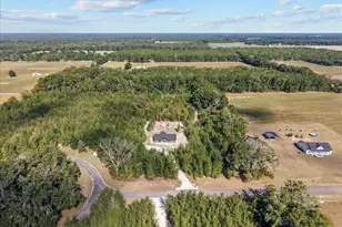 4906 NW 36th St, Bell, FL 32619 - Photo 11