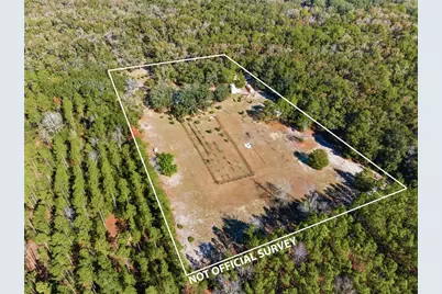 1349 SW 27th Place, Bell, FL 32619 - Photo 7