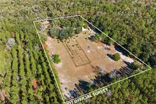 1349 SW 27th Pl, Bell, FL 32619 - Photo 7