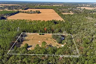 1349 SW 27th Pl, Bell, FL 32619 - Photo 5