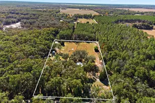 1349 SW 27th Pl, Bell, FL 32619 - Photo 3