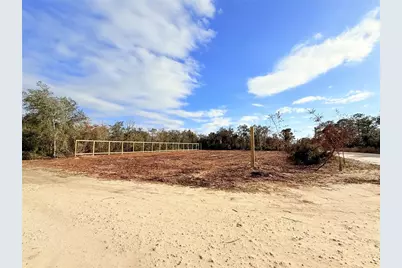 000 NE 67th Lane, Williston, FL 32696 - Photo 5