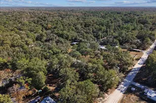 148 SE 911th St, Old Town, FL 32680 - Photo 27