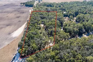 4035 NW County Rd 342, Bell, FL 32619 - Photo 15