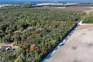 4035 NW County Rd 342, Bell, FL 32619 - Photo 17