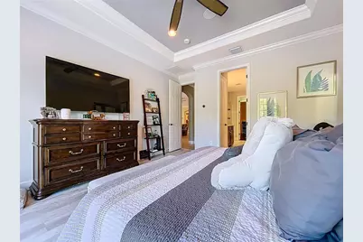 1737 Virginia Willow Drive, Wesley Chapel, FL 33544 - Photo 47