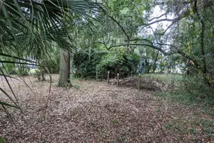 1618 NW 4th Ave, Gainesville, FL 32603 - Photo 7