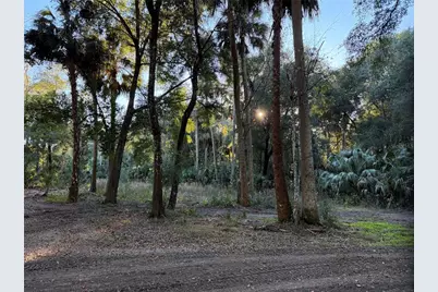 19411 N US Highway 301, Citra, FL 32113 - Photo 15