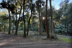 19411 N US Hwy 301, Citra, FL 32113 - Photo 15