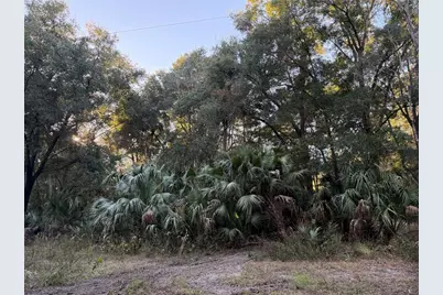 19411 N US Highway 301, Citra, FL 32113 - Photo 17