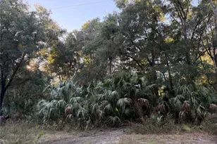 19411 N US Hwy 301, Citra, FL 32113 - Photo 17