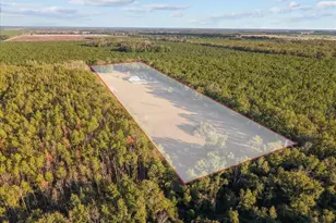 13691 201st Rd, Live Oak, FL 32060 - Photo 31