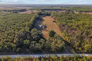 13691 201st Rd, Live Oak, FL 32060 - Photo 35