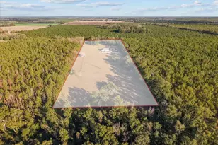 13691 201st Rd, Live Oak, FL 32060 - Photo 33