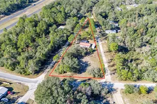 11216 NE 63rd Pl, Williston, FL 32696 - Photo 3