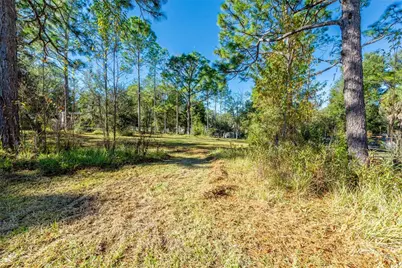 11216 NE 63rd Place, Williston, FL 32696 - Photo 7
