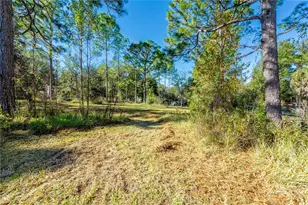 11216 NE 63rd Pl, Williston, FL 32696 - Photo 7