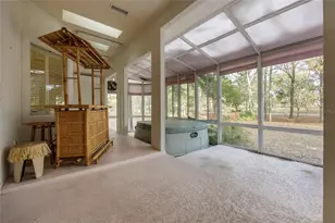 6804 NW 111th Ln, Alachua, FL 32615 - Photo 45