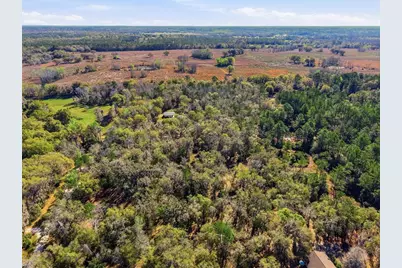 14600 NW 216th Place, Micanopy, FL 32667 - Photo 53