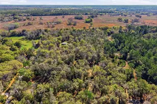 14600 NW 216th Pl, Micanopy, FL 32667 - Photo 53