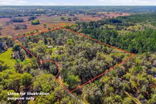 14600 NW 216th Pl, Micanopy, FL 32667 - Photo 51