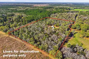 14600 NW 216th Pl, Micanopy, FL 32667 - Photo 57