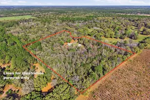 14600 NW 216th Pl, Micanopy, FL 32667 - Photo 55