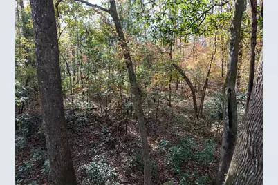 Lots 165 & 166 SW Nebraska Terrace, Fort White, FL 32038 - Photo 3