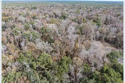 Lots 165 & 166 SW Nebraska Terrace, Fort White, FL 32038 - Photo 11