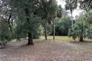 111 Little Orange Lake Dr, Hawthorne, FL 32640 - Photo 29