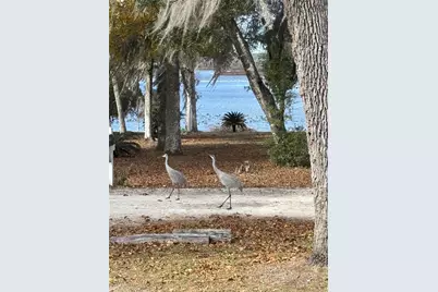 111 Little Orange Lake Drive, Hawthorne, FL 32640 - Photo 3