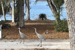 111 Little Orange Lake Dr, Hawthorne, FL 32640 - Photo 3