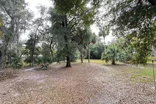 111 Little Orange Lake Dr, Hawthorne, FL 32640 - Photo 25