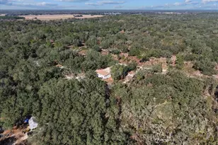 12170 NE 90th St, Bronson, FL 32621 - Photo 53