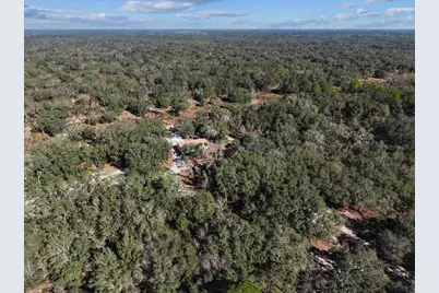 12170 NE 90th Street, Bronson, FL 32621 - Photo 55