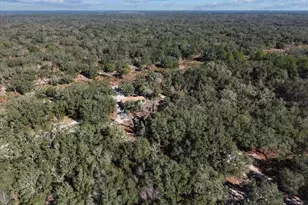 12170 NE 90th St, Bronson, FL 32621 - Photo 55