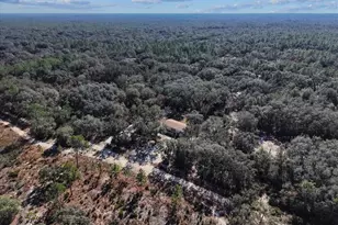 12170 NE 90th St, Bronson, FL 32621 - Photo 51