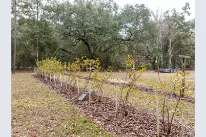 634 NE 696th Street, Branford, FL 32008 - Photo 31