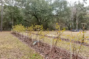 634 NE 696th St, Branford, FL 32008 - Photo 31