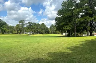 6245 NW 106th Pl, Alachua, FL 32615 - Photo 59