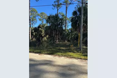 00 SE 330th St, Old Town, FL 32680 - Photo 3