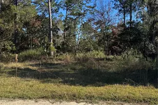 00 SE 330th St, Old Town, FL 32680 - Photo 1