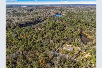 7970 SW 14th Place, Bell, FL 32619 - Photo 5