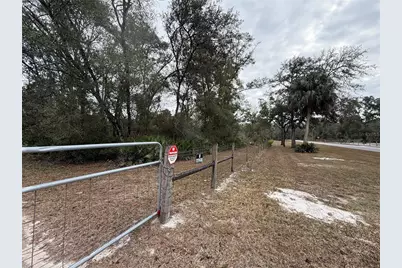 347 NE 544th Street, Old Town, FL 32680 - Photo 29