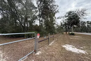 347 NE 544th St, Old Town, FL 32680 - Photo 29