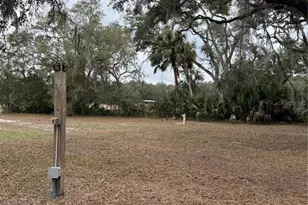 347 NE 544th St, Old Town, FL 32680 - Photo 43