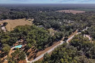 347 NE 544th St, Old Town, FL 32680 - Photo 37